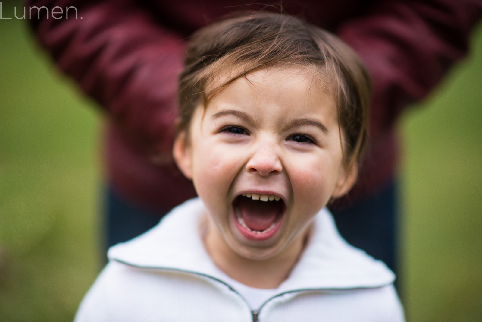 lumen photography, adventurous, couture, lake harriet photography, minnesota, minneapolis, family portraits