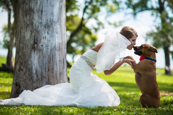 Dog Wedding Photo