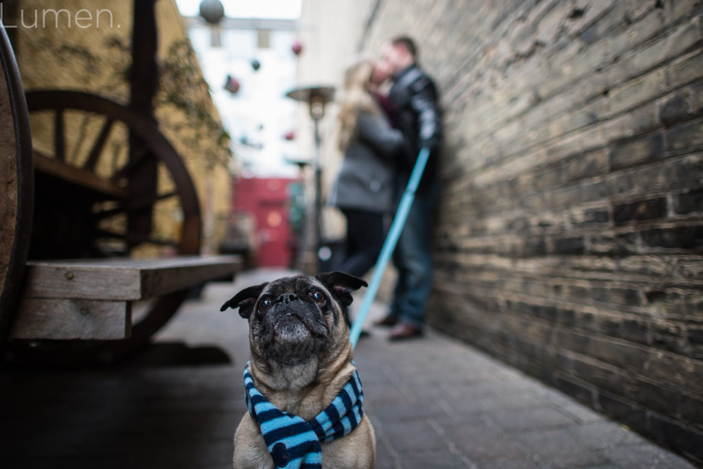 lumen, photography, mager and quinn engagement photos, minneapolis, uptown, minnesota, adventurous, book store, chino latino,